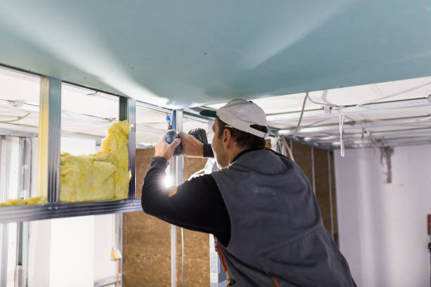 Best Eco-Friendly Insulation in Lton, IN